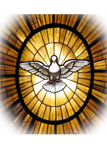 Dove-for-Funeral-Pate-web