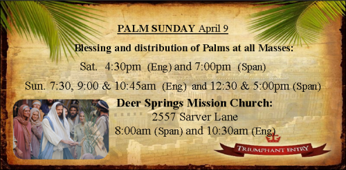 IMAGE FOR PALM SUNDA