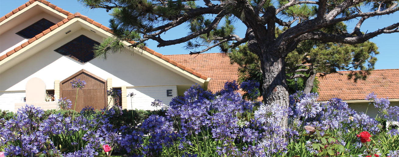 agapanthis-and-chapel The entrance to our property.