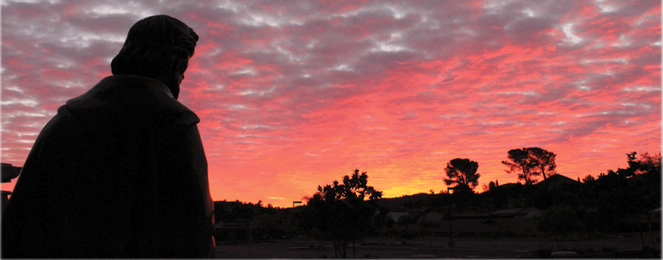 Banner-of-Sunrise-for-website